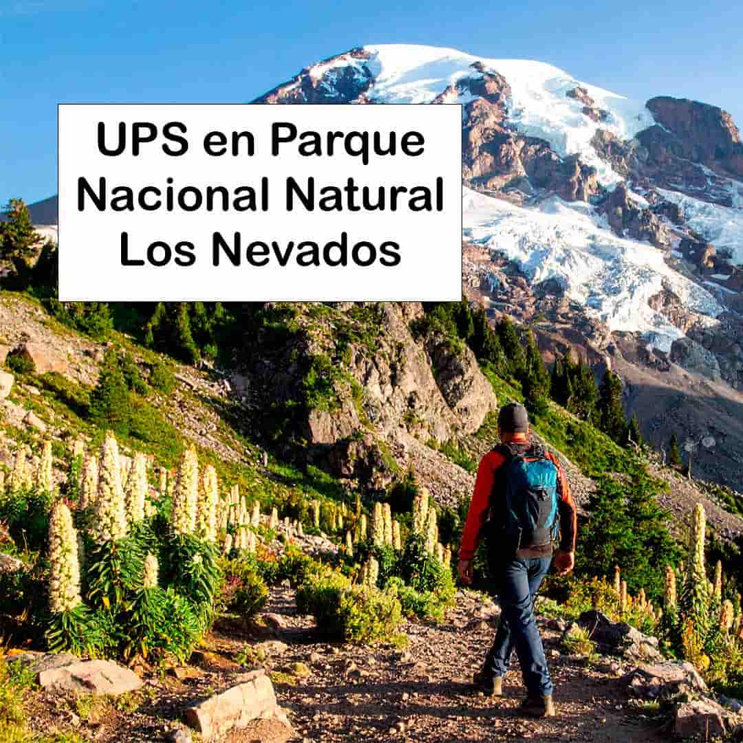 Un excursionista bien abrigado se encuentra en la cima de una montaña en el Parque Nacional Natural Los Nevados, rodeado de frailejones. A pesar del paisaje frío, el sol brilla con una intensidad extrema en un cielo azul despejado, iluminando un pico nevado a lo lejos.